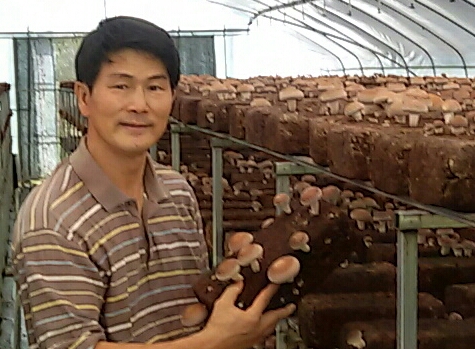 귀농 4년만에 연매출 1억원 버섯천지 - 보안면 김태일