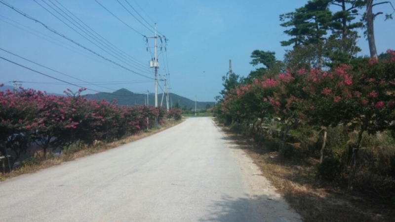 나의 귀농이야기 - 보안면 허 숙