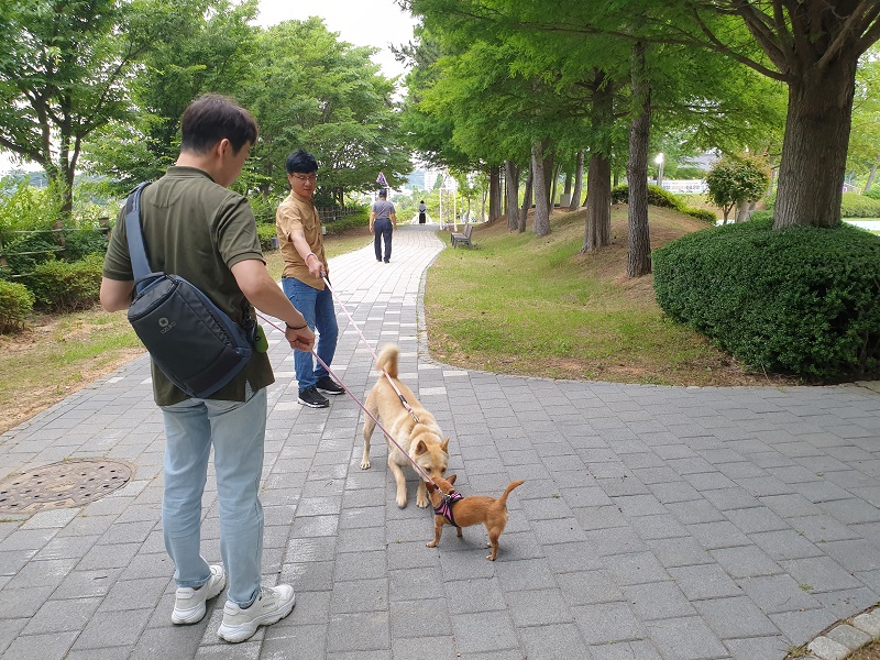 2023년 06월 동물사랑동아리 산책모임