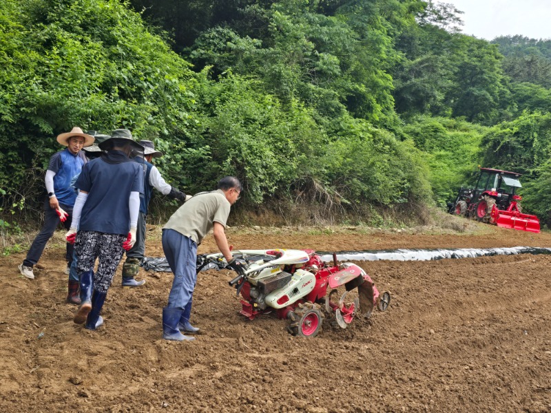 KakaoTalk_20260622_165509505_25.jpg